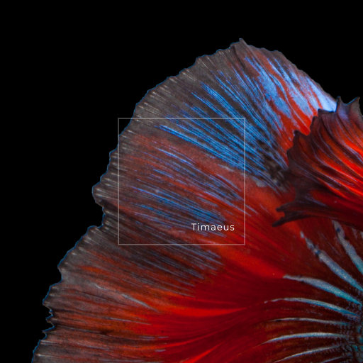 秘塔全身赤裸无奶罩的照片
